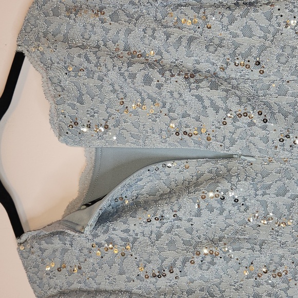 ALEX EVENINGS Long Gown Sequin Lace Bodice & Chifon Skirt, 8P - Picture 6 of 16